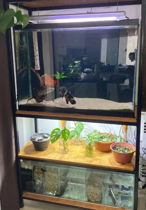 Aquário com filtro sump planejado e móvel sob medida em metalon  - Foto 6