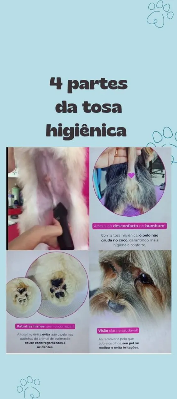 Banho & tosa scoob. Aqui seu pet tem prioridade!!! Banho partir de 29,99 *