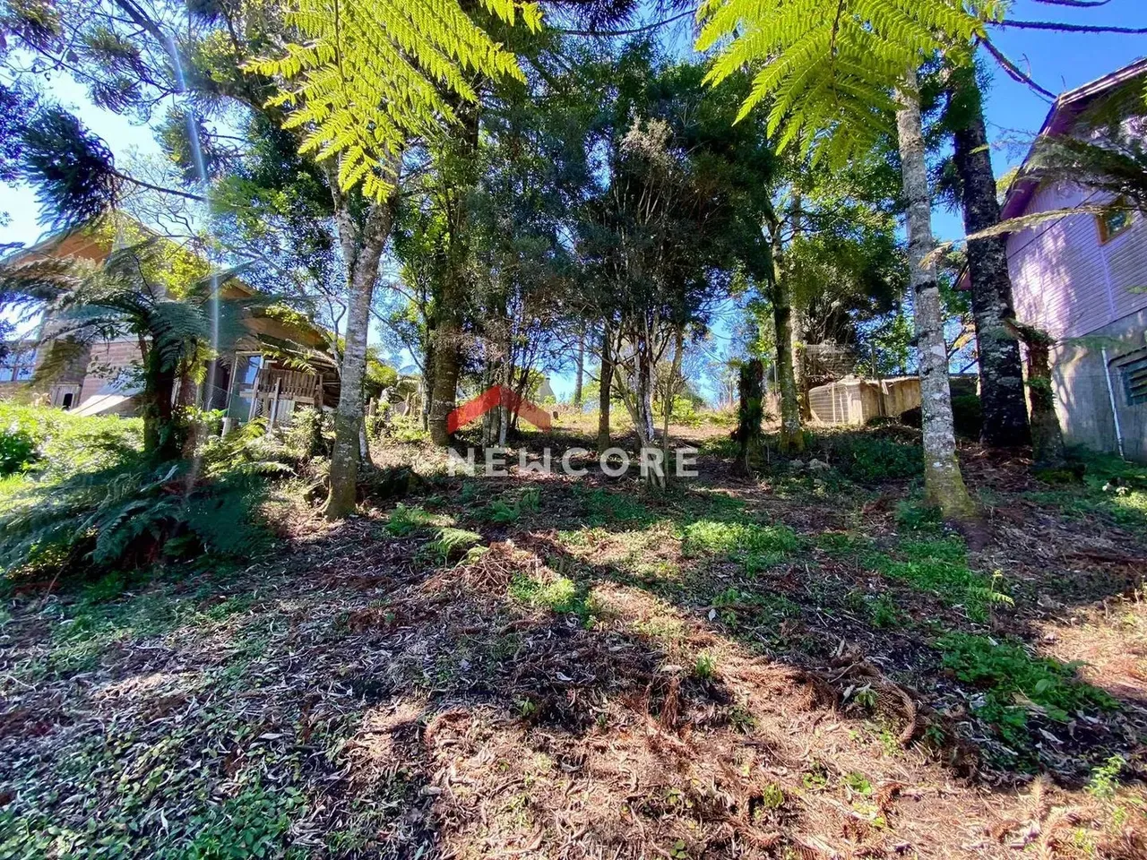 Lote em Rua Pedro Duarte Barcelos - Centro - São Francisco de Paula/RS