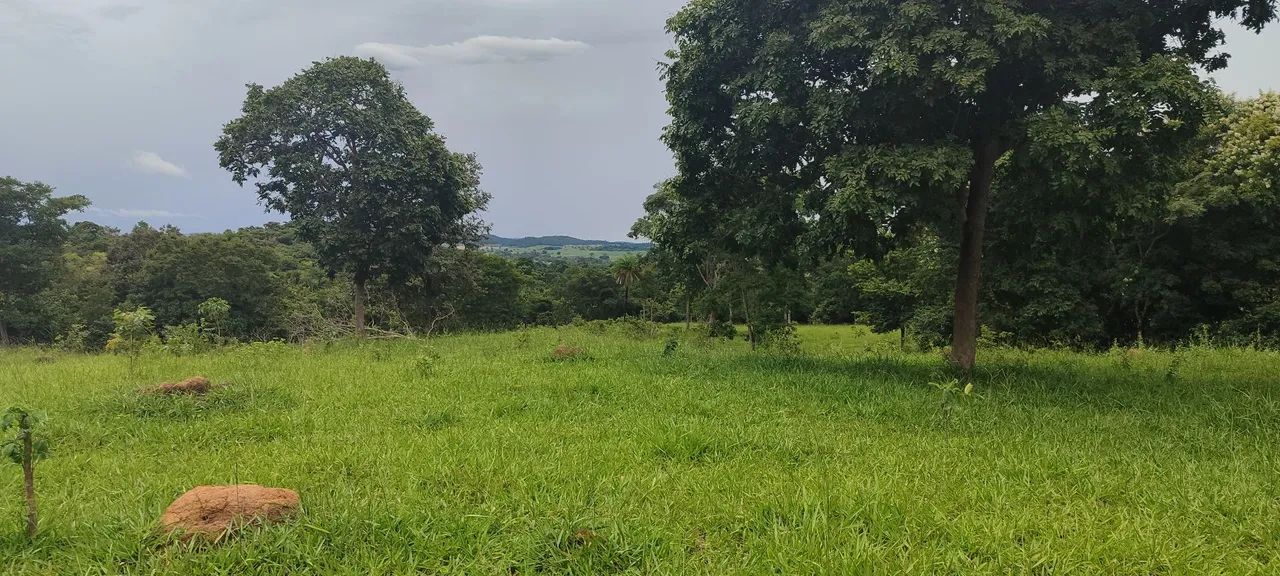 Chácara em Pontalina  - Foto 5