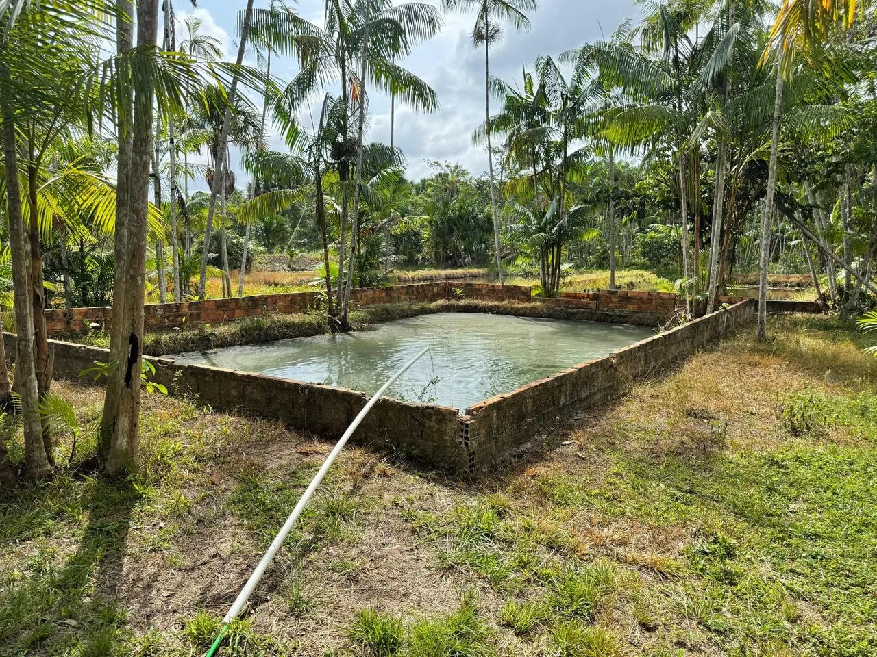 Sitio Pesque e Pague Localizado No KM 75- Aurora- Pa - Foto 10