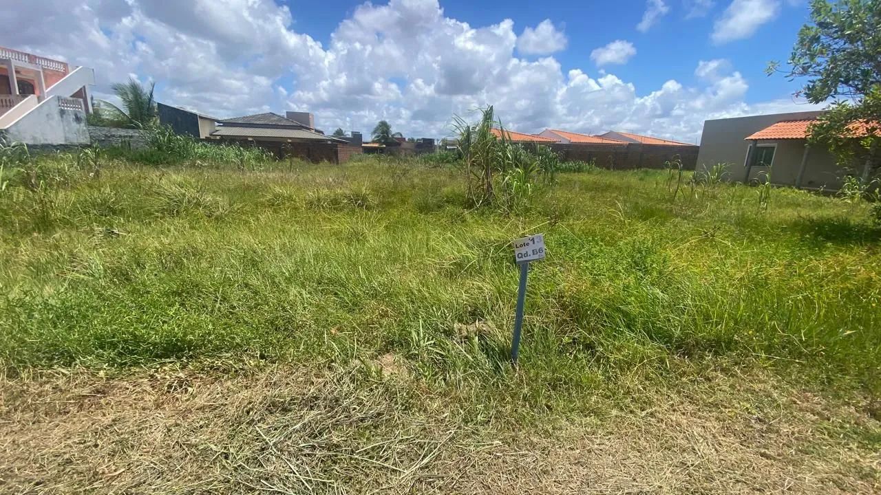 Foto - Salvador - Mata Escura