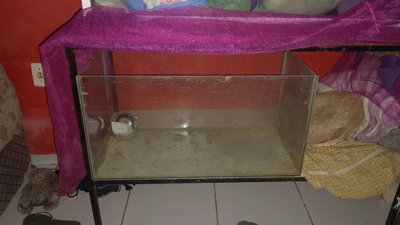 Aquário usado para terrário