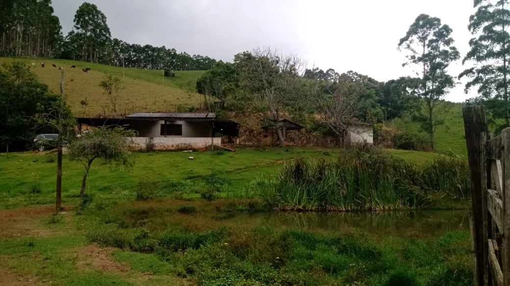 Sitío 9.5 Alqueires... Guapiara sp 500 metros do asfalto... Casa simples Rico em água loca