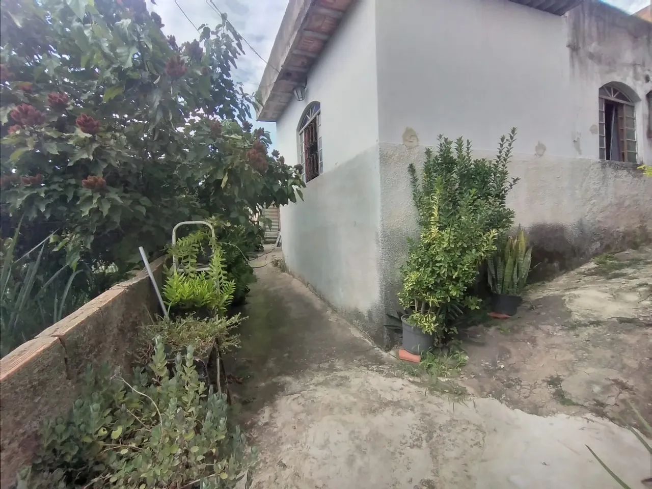 Foto - Belo Horizonte - Belmonte