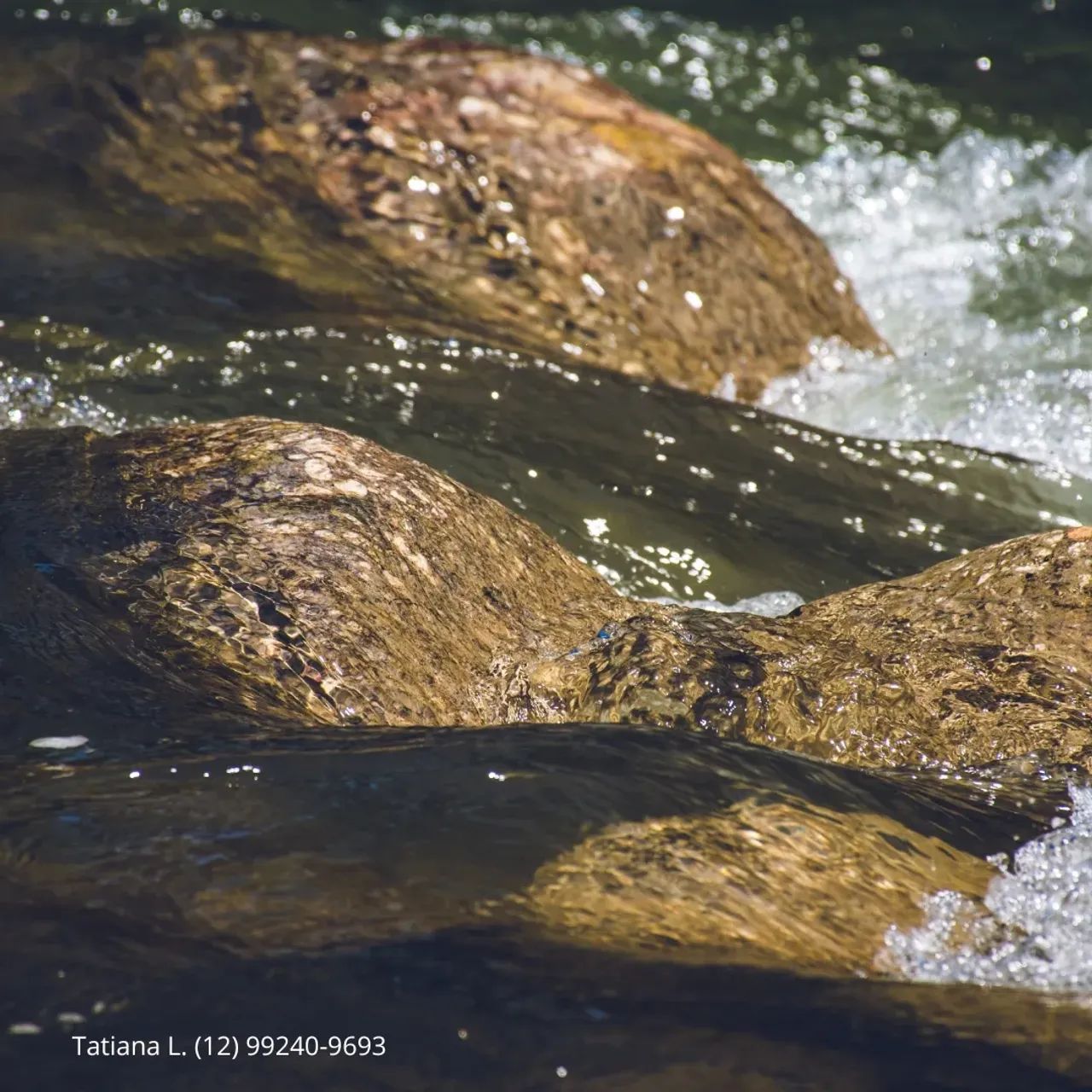 Preço acessível para você construir seu Lar! Lotes no Residencial Flamboyant - Foto 2