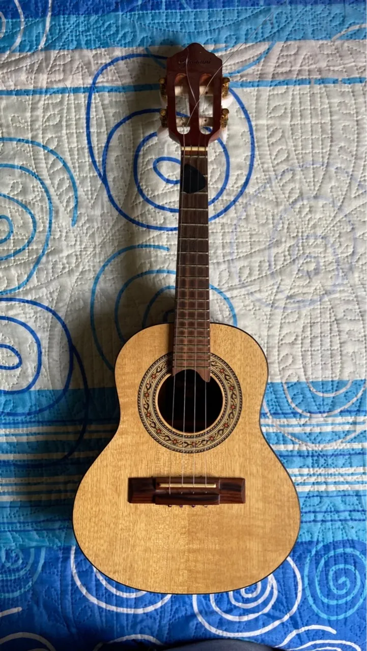 Cavaquinho acustico Giannini Raiz + capa simples - excelente condição