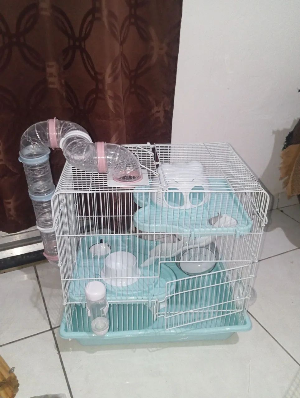 Kit hamster 