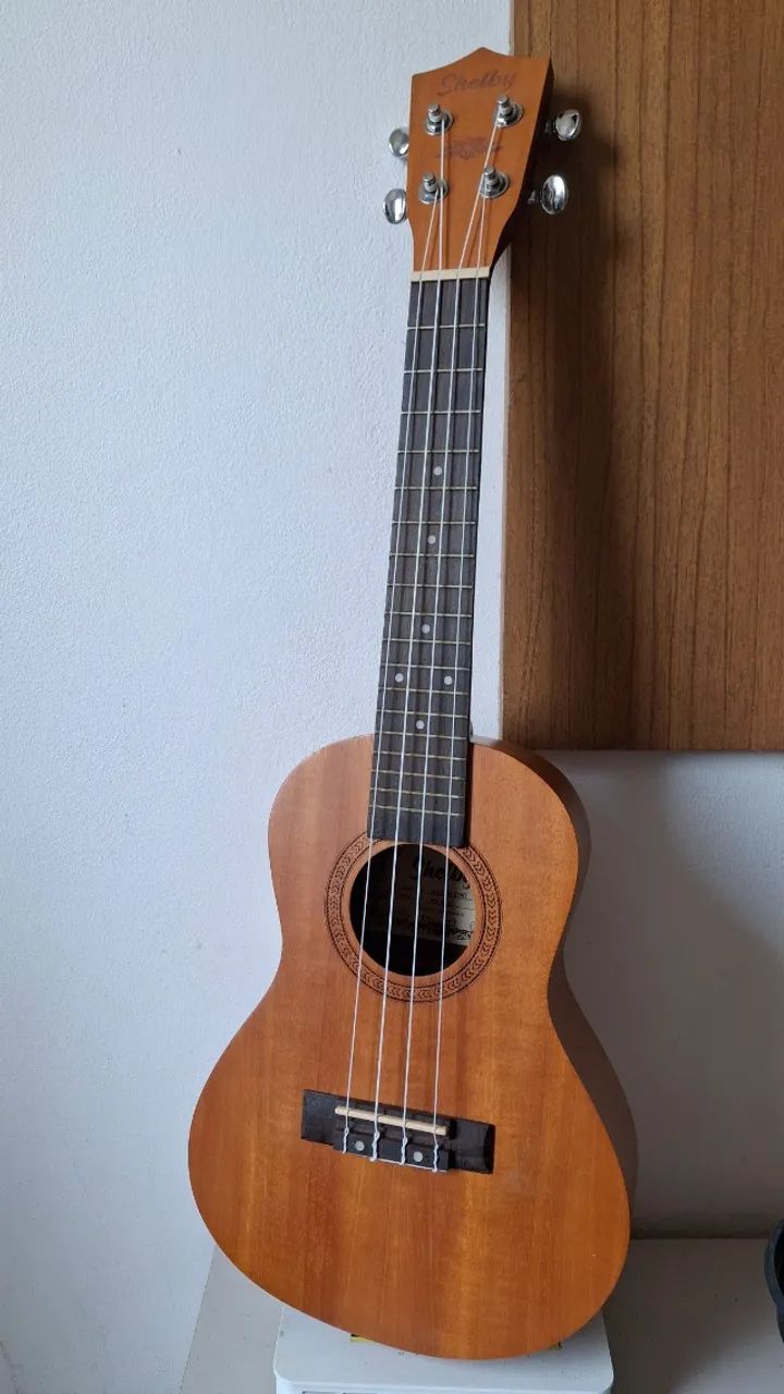 Vendo Ukulele com capa, afinador e palheta - Foto 5