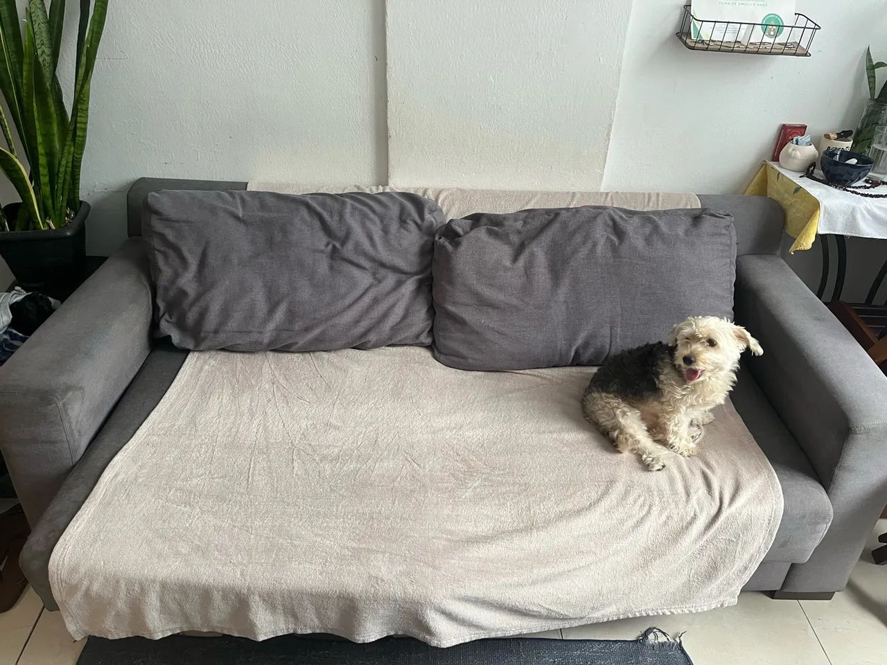 Sofa de 2 lugares - Foto 3