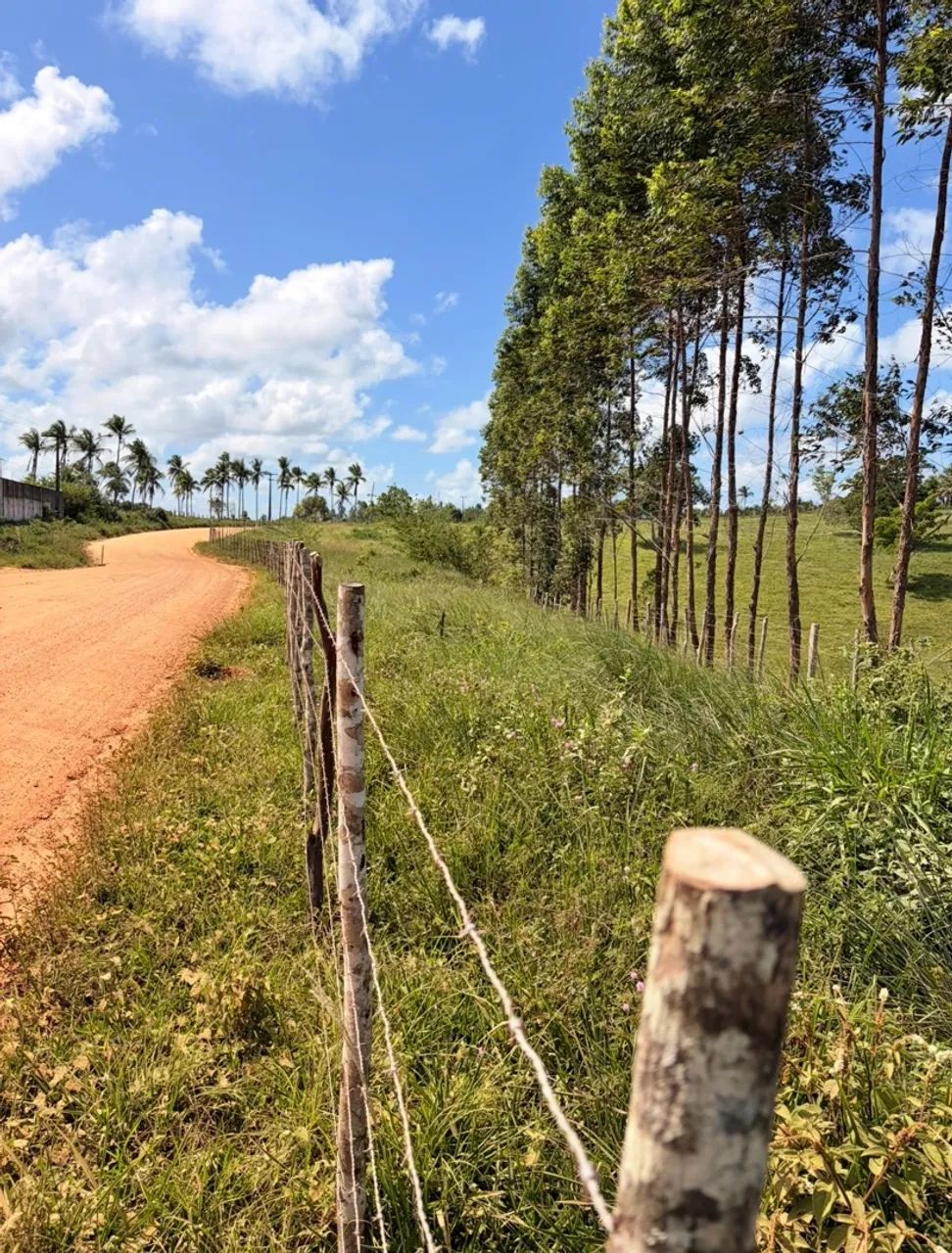 Terreno em Estância - Foto 2