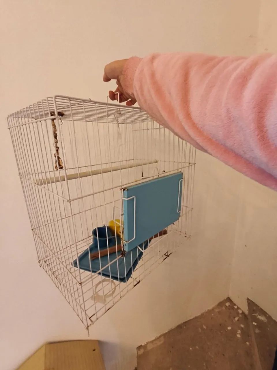 Gaiola passarinho  - Foto 4