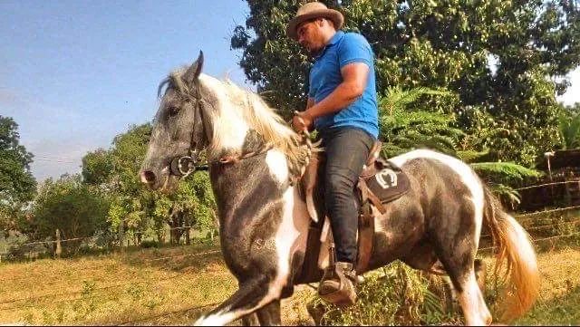 CAVALO MANGALARGA  - Foto 3