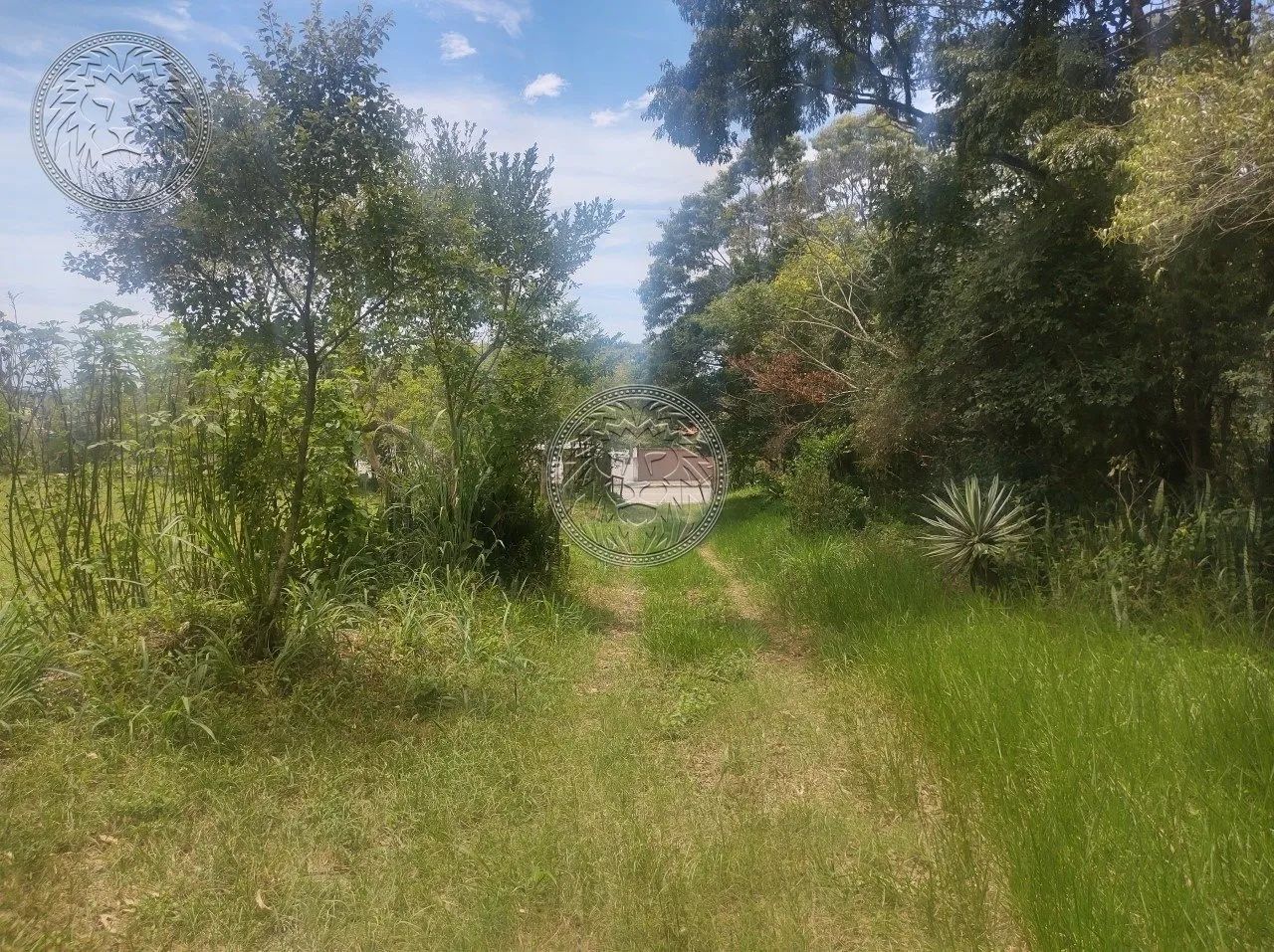 Terreno para locação no Campeche/Florianópolis - Foto 3