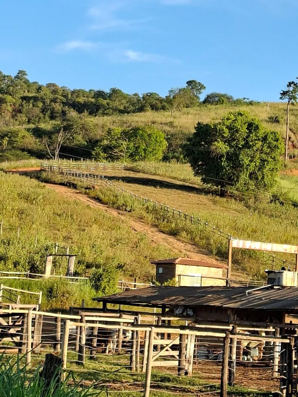 Foto - Governador Valadares - Nossa Senhora das Graças