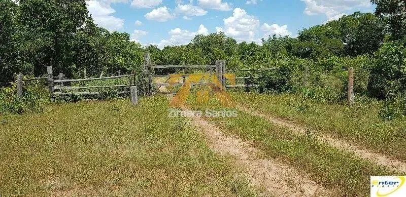 Fazenda - 681 hectares - São João da Aliança  Goiás - Foto 10