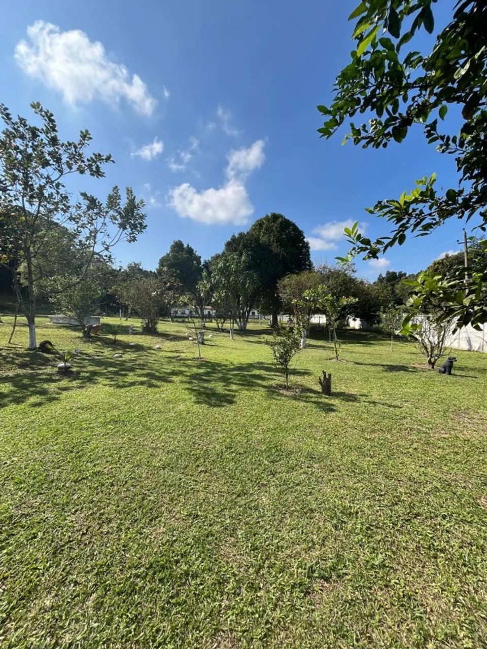 Sítio em Nova Iguaçu - Foto 2