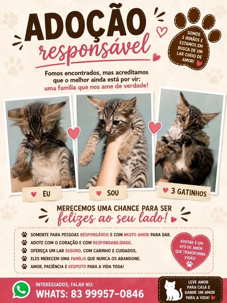 Adoção responsável 