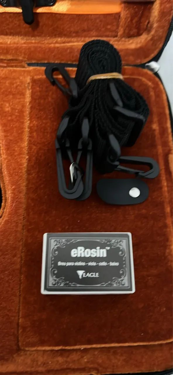 Violino Eagle VE441 4/4 - Foto 2