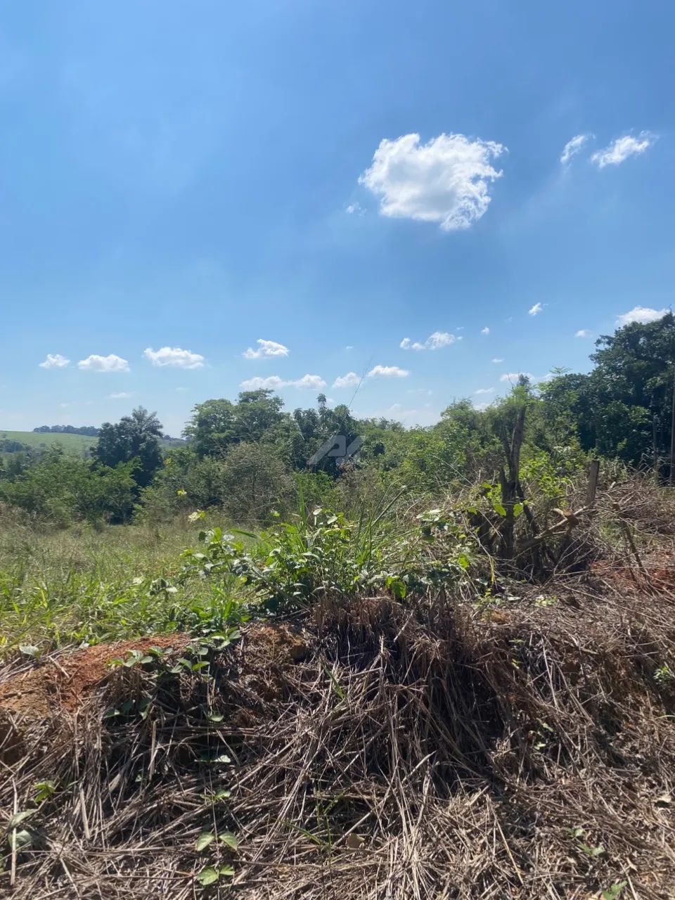 terreno - Sousas - Campinas - Foto 3