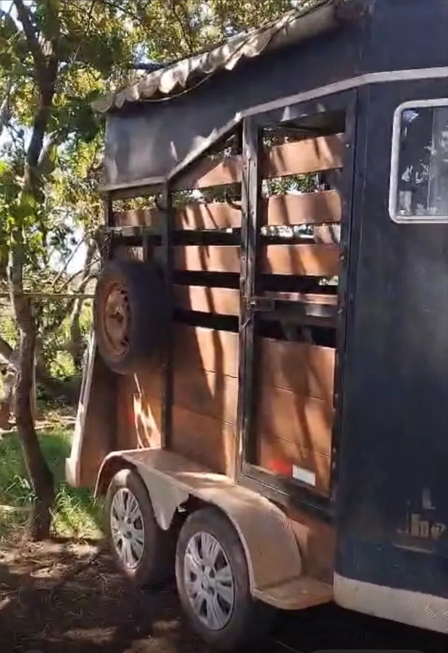 Vendo 2 cavalos  - Foto 3