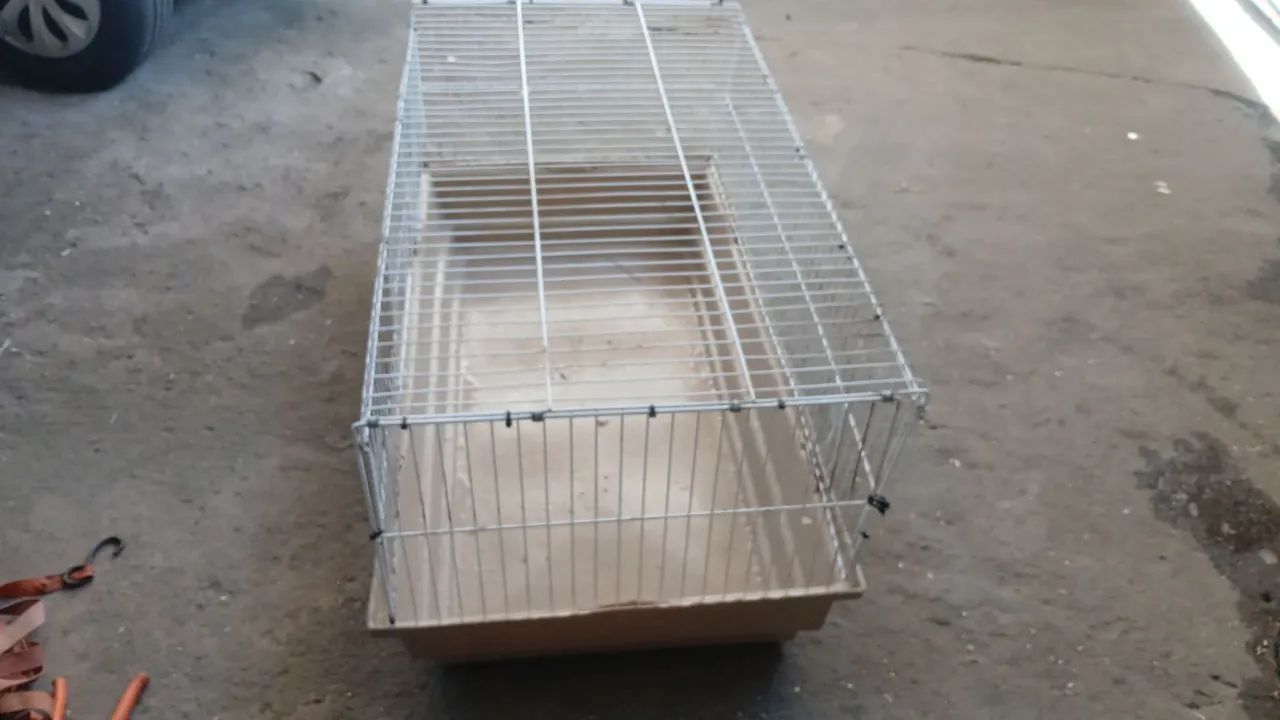 Gaiola  - Foto 2