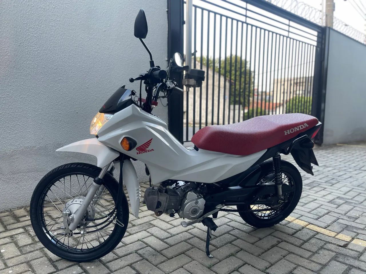 Honda pop 2023