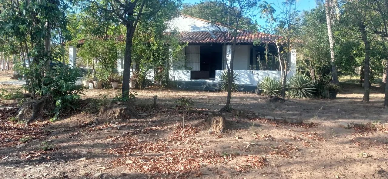 Fazenda em Florianópolis Piauí   imperdível  - Foto 2