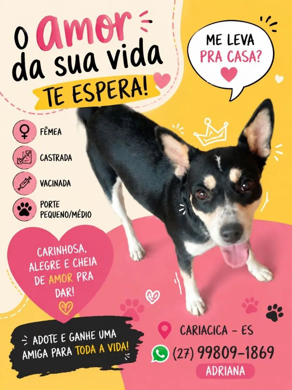 Doação  - Foto 2