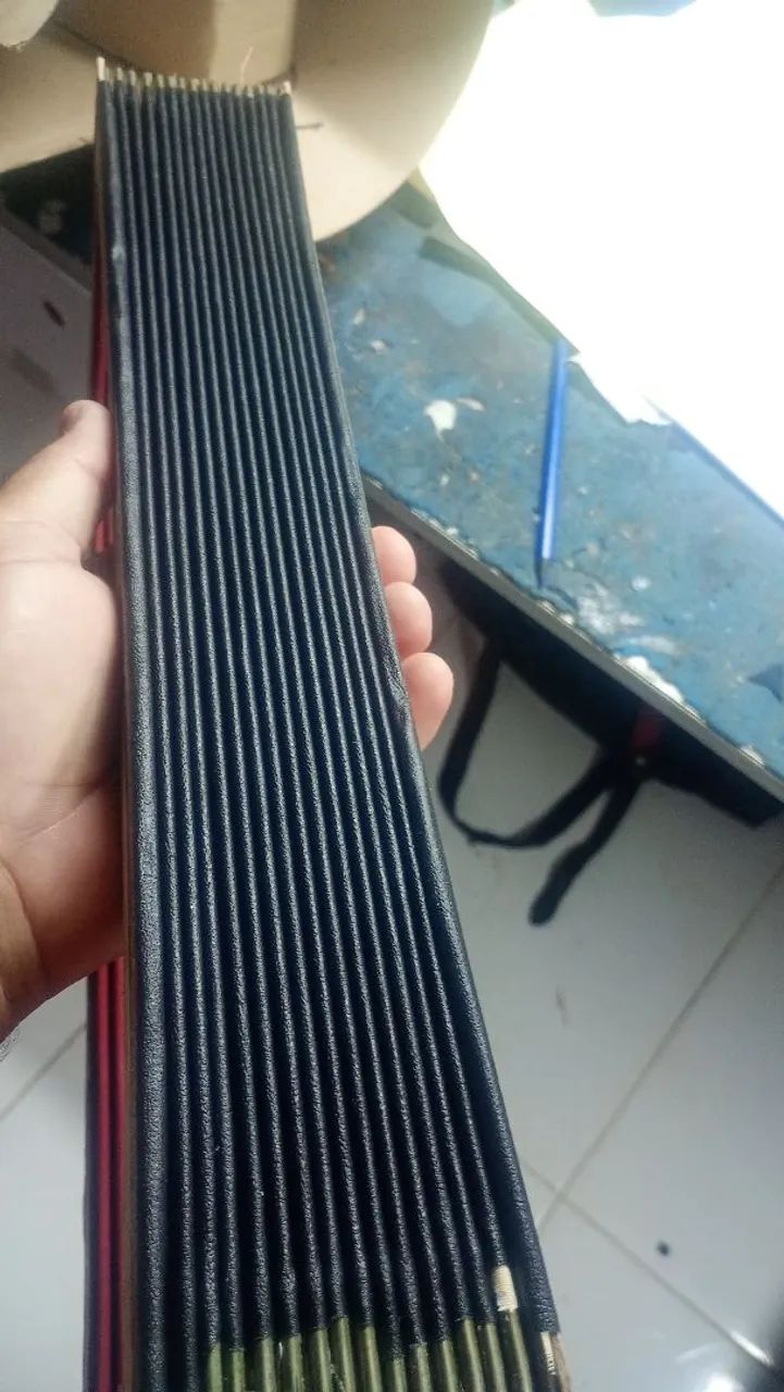 Acordeon - Foto 2