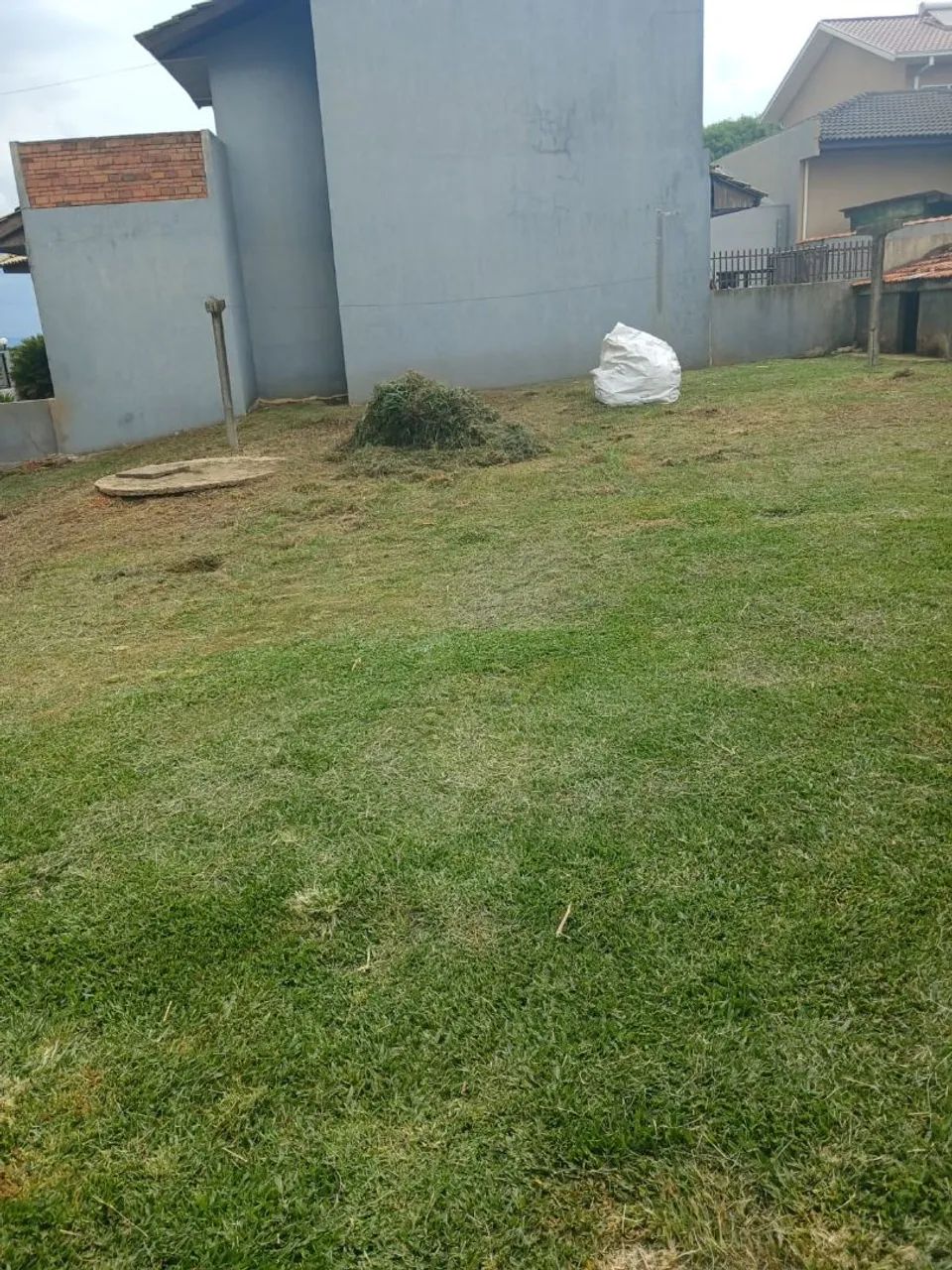 Jardinagem, roçada e podas. - Foto 5