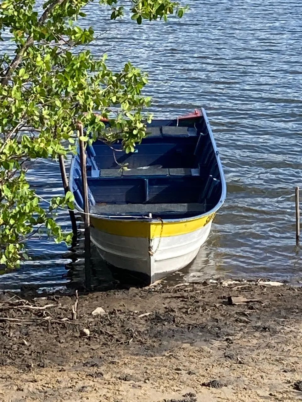 Barco alumínio  - Foto 5