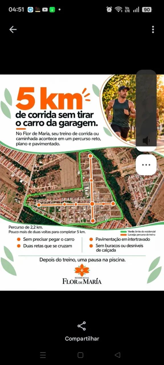 Últimos lote Flor de Maria