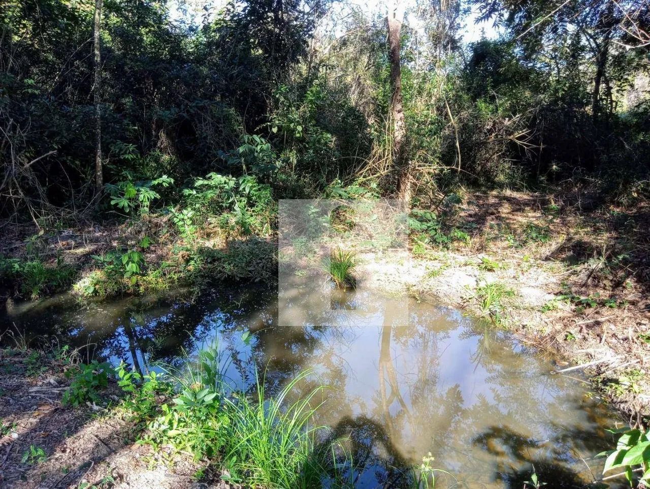 Chácara à venda, Bosques de Notre Dame - Campinas/SP - Foto 4