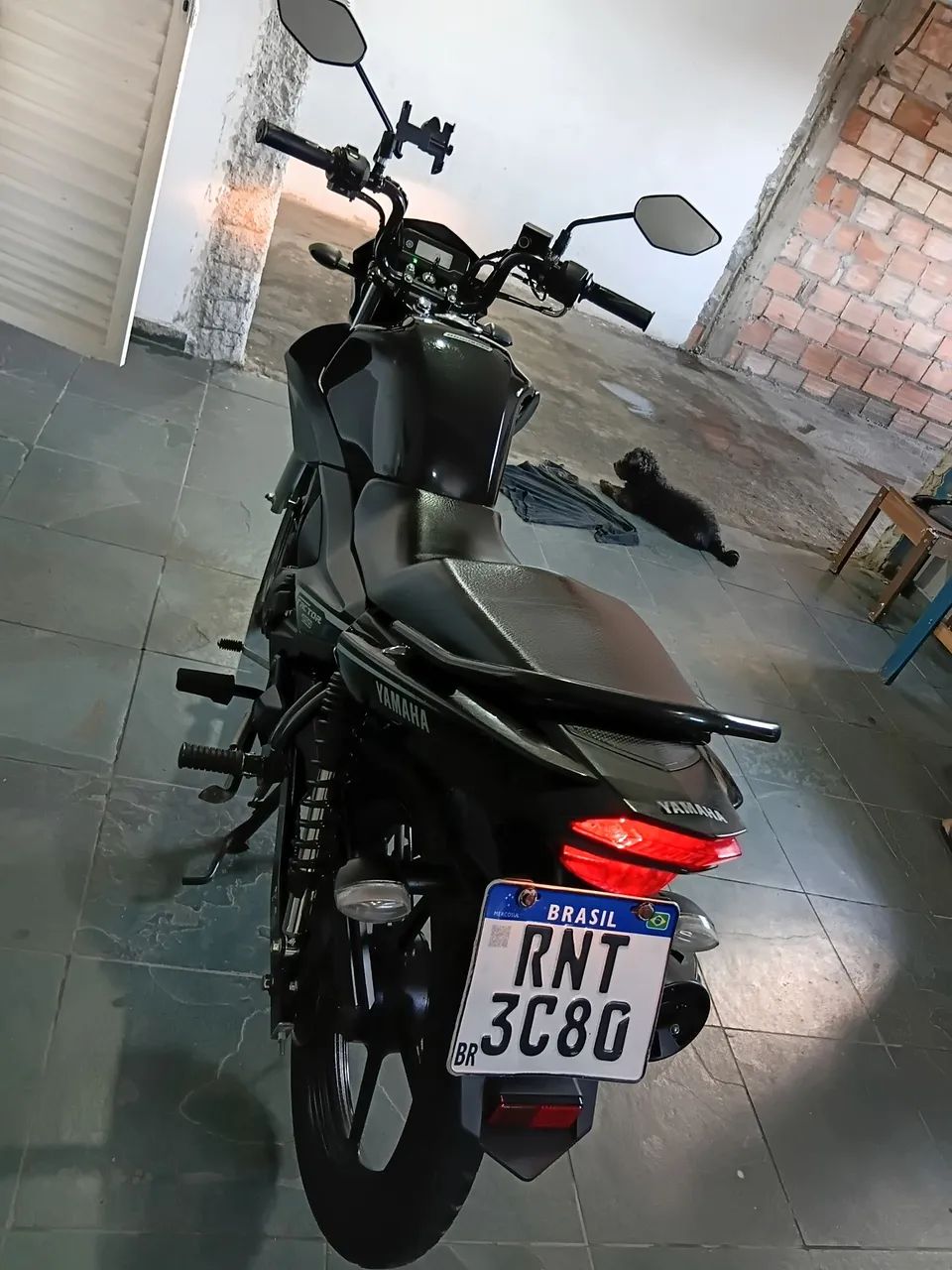 Ybr factor ed 2022 - Foto 2