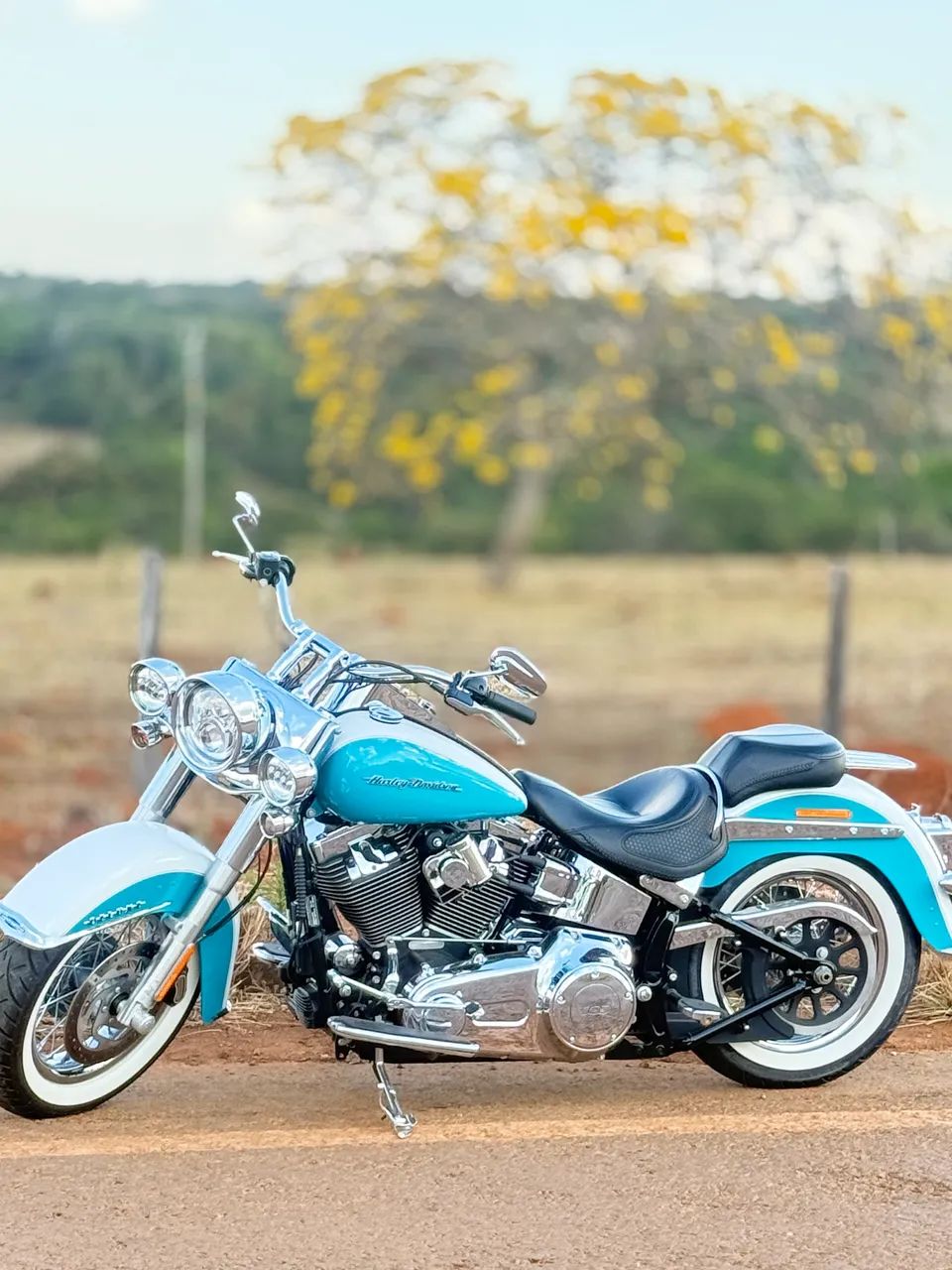 Harley deluxe  - Foto 4
