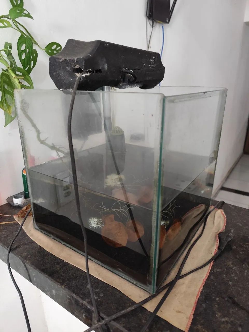 Aquário ornamental 