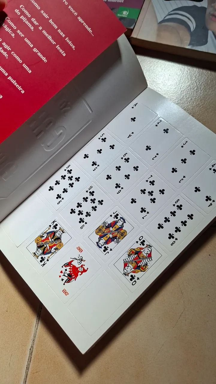 Livro Só Para Garotas Como Ser a Melhor em Tudo - Foto 3