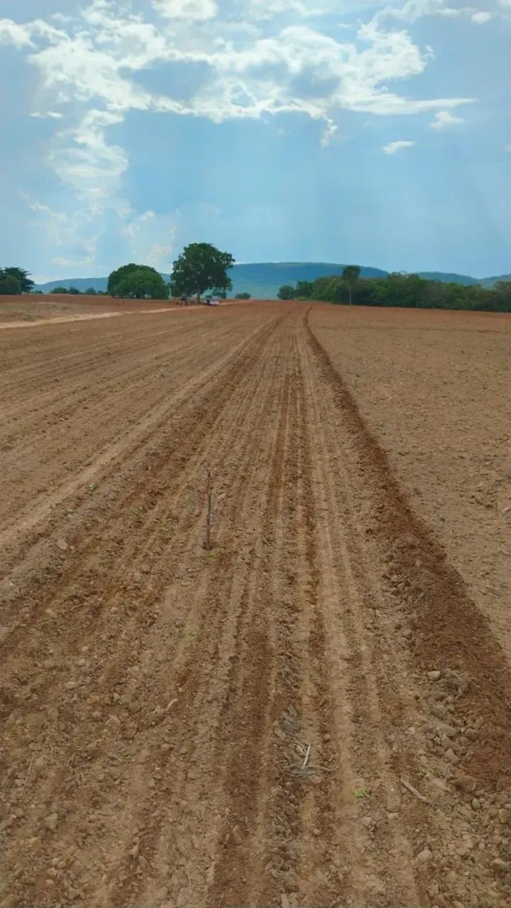 Fazenda a venda, em Peixe Tocantins!!!