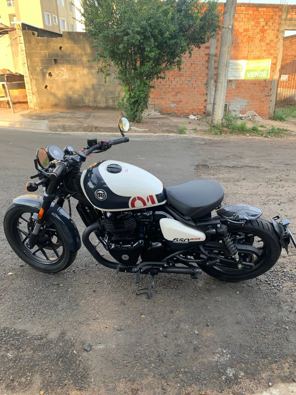 Shotgun 650 custom 