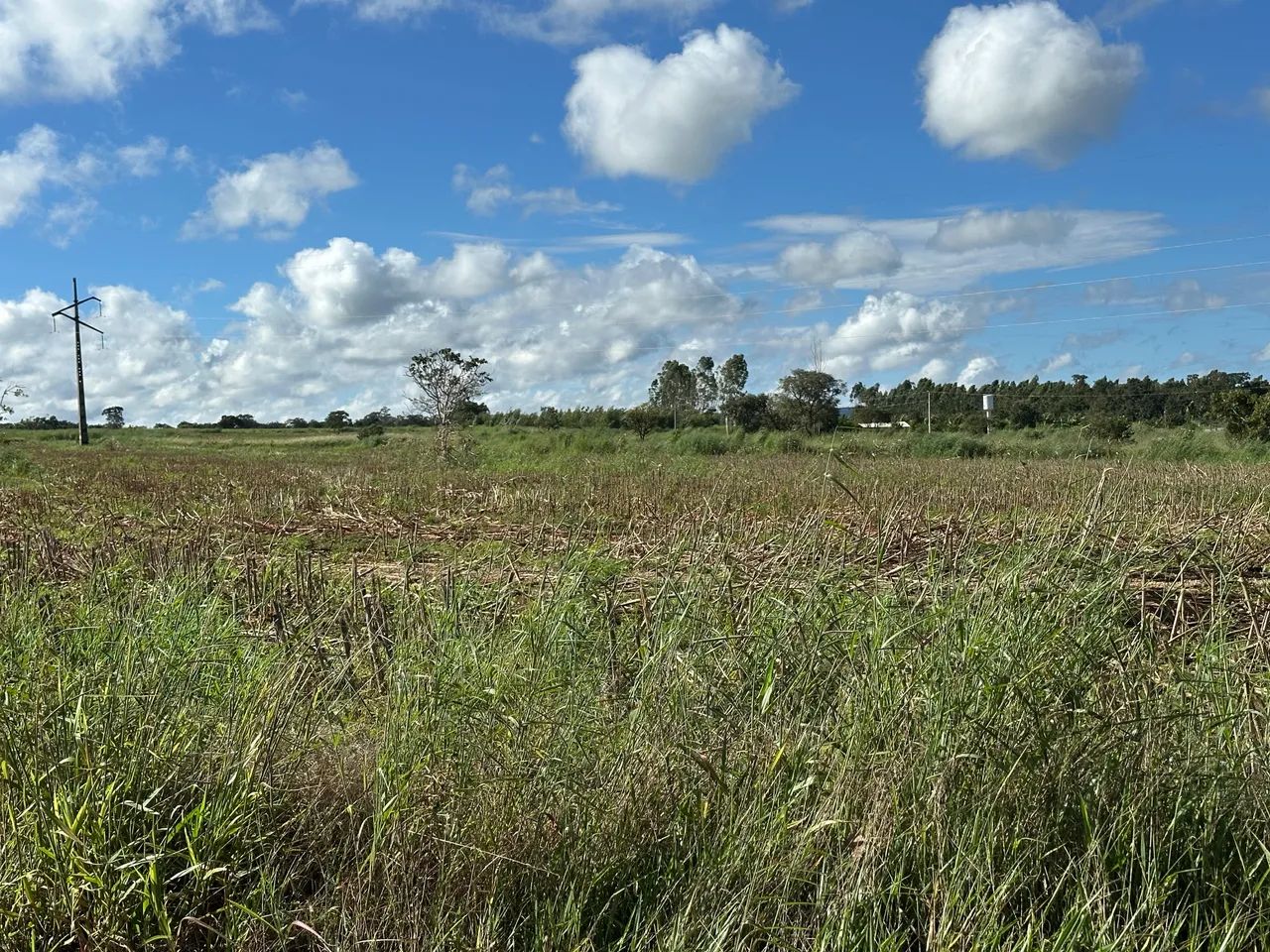 Foto - Bela Vista de Goiás - 