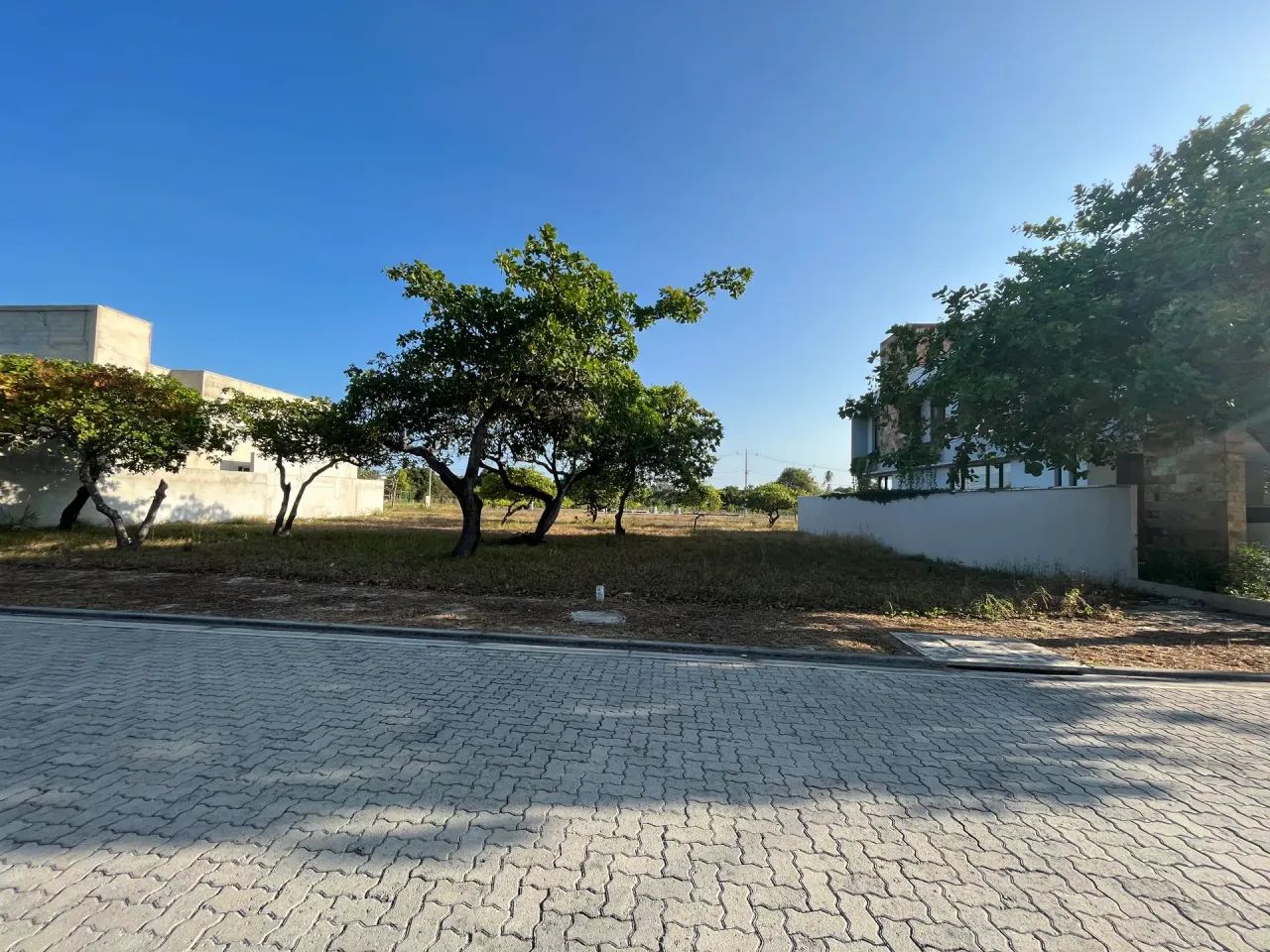 Lote no Reserva Terras Brasilis - Jacundá- Eusébio/CE. - Foto 3