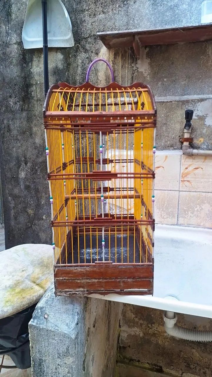 Gaiola  - Foto 4