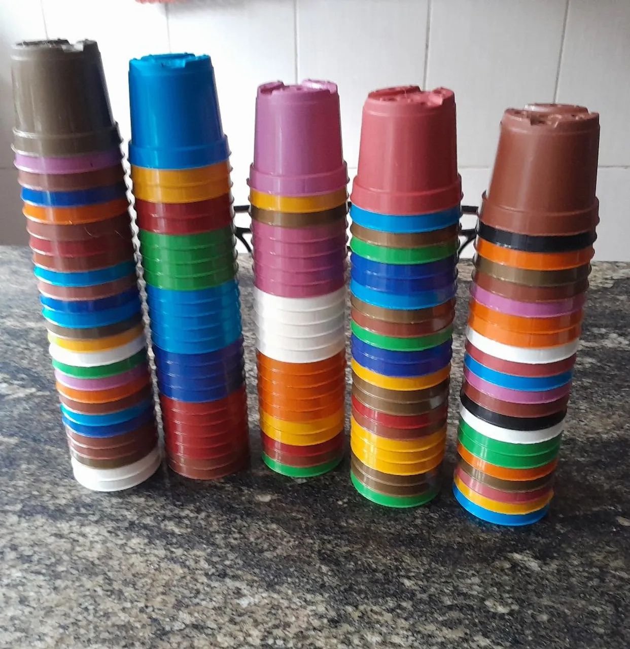 Vasos suculentas 