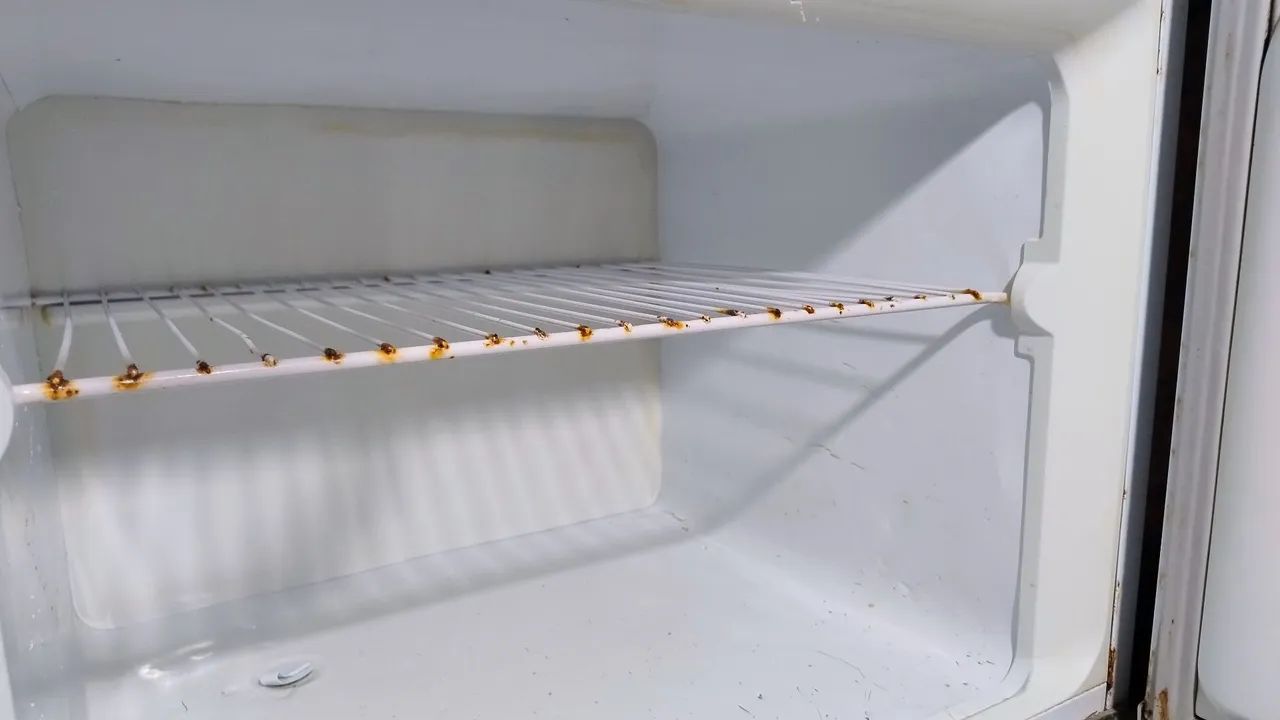 Geladeira 