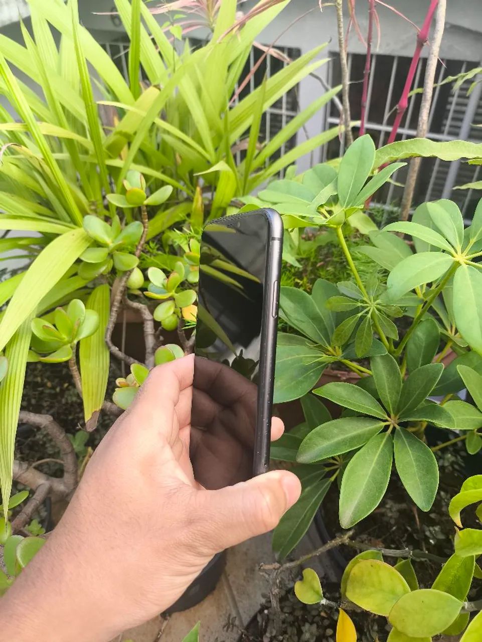 Iphone 11 64Gb Bateria 81% - Foto 3