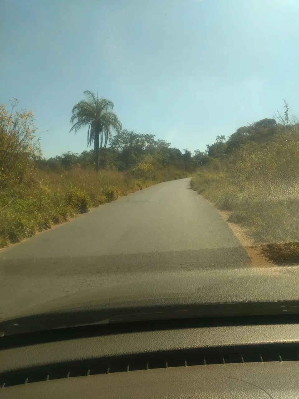 Lote oportunidade  - Foto 5