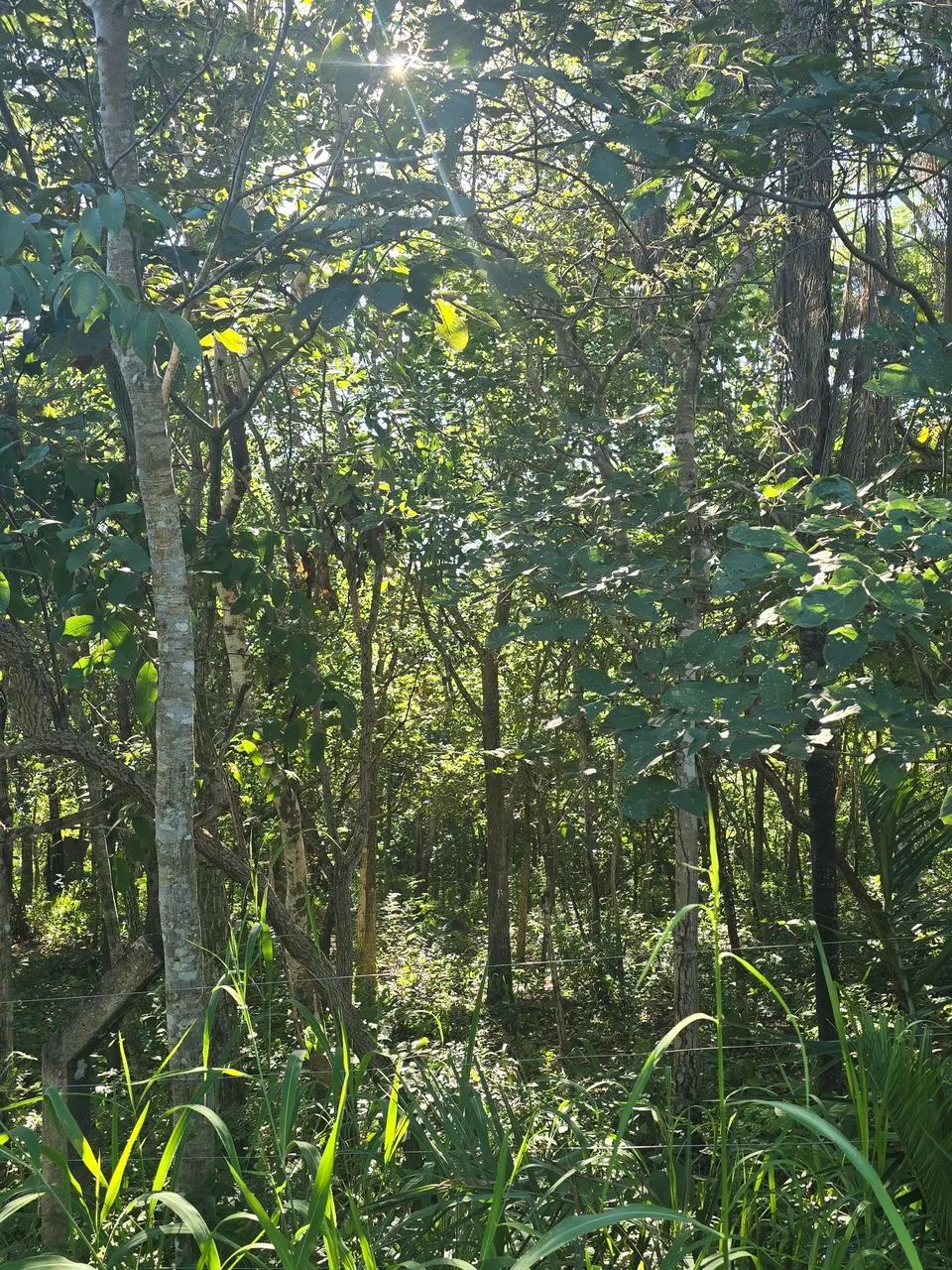 Rancho na Serra da Mesa - Foto 5
