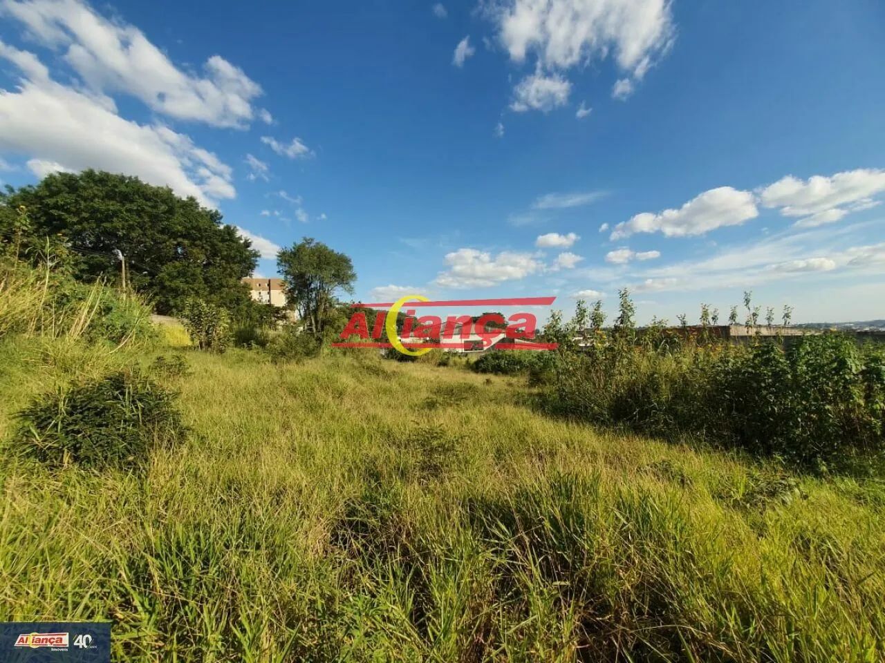 Terreno 2.800 m2 na Vila Nova Bonsucesso, totalmente limpo, pronto para ser edificado. - Foto 4