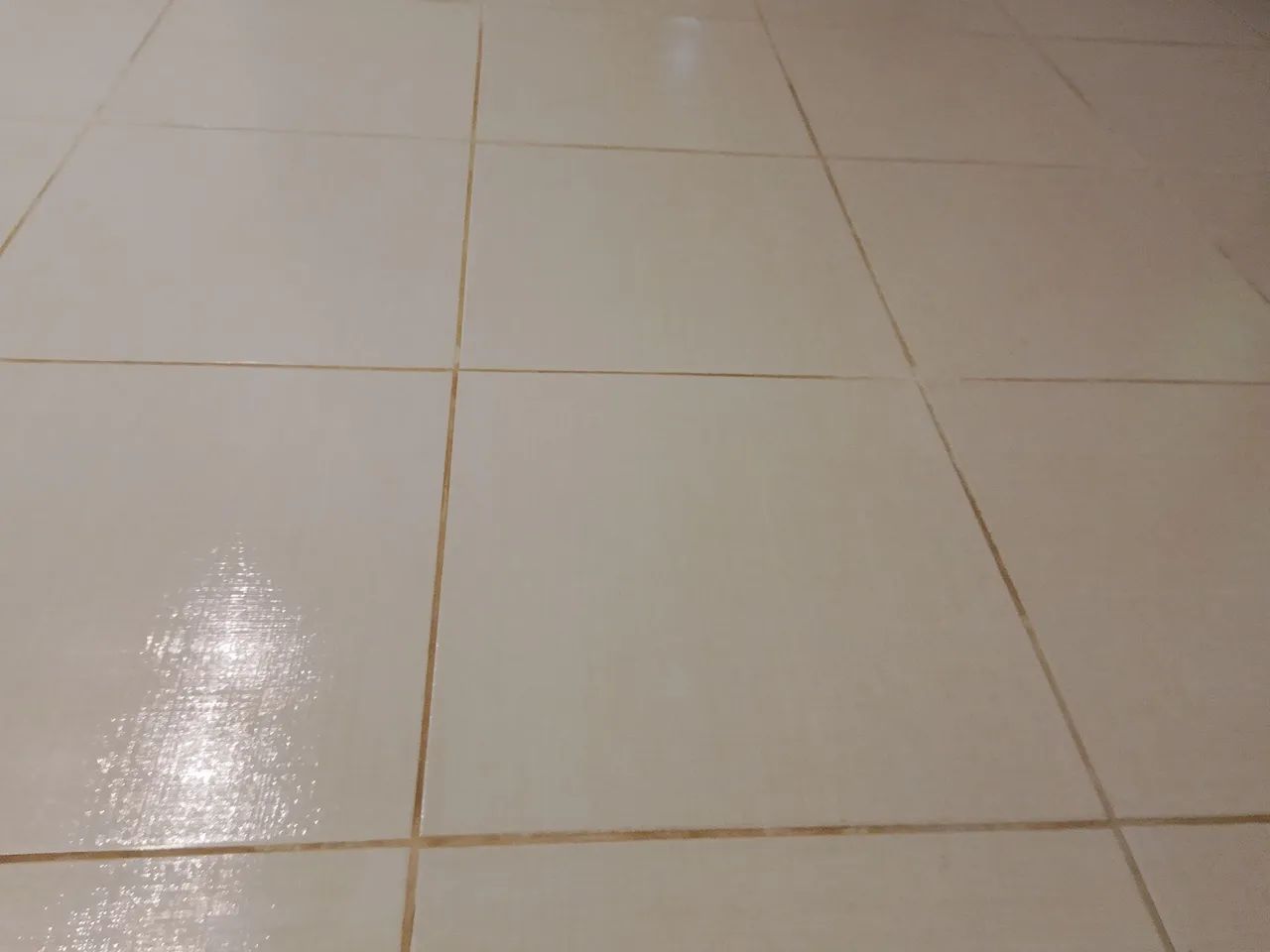 OM Reforma em Grral  - Foto 4